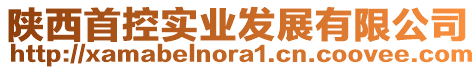 陜西首控實業發展有限公司