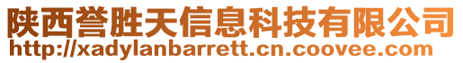 陜西譽勝天信息科技有限公司