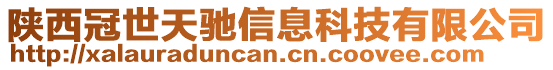 陜西冠世天馳信息科技有限公司