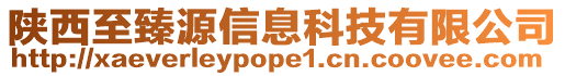 陜西至臻源信息科技有限公司