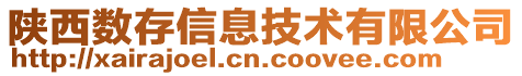 陜西數(shù)存信息技術(shù)有限公司