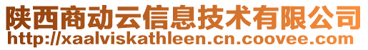 陜西商動云信息技術(shù)有限公司