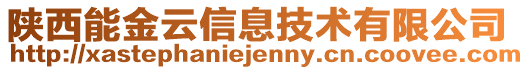 陜西能金云信息技術(shù)有限公司