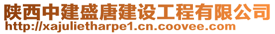 陜西中建盛唐建設(shè)工程有限公司