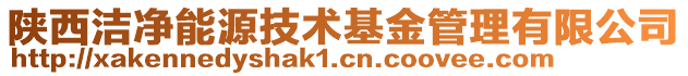 陜西潔凈能源技術(shù)基金管理有限公司