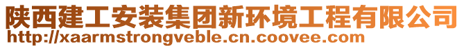 陜西建工安裝集團(tuán)新環(huán)境工程有限公司