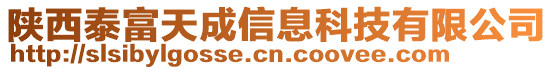 陜西泰富天成信息科技有限公司