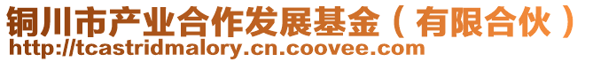 銅川市產(chǎn)業(yè)合作發(fā)展基金（有限合伙）