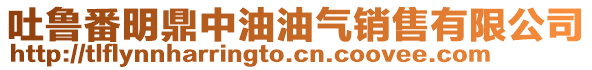 吐魯番明鼎中油油氣銷(xiāo)售有限公司