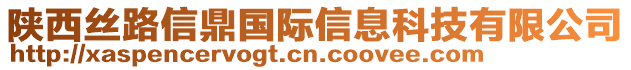 陜西絲路信鼎國際信息科技有限公司