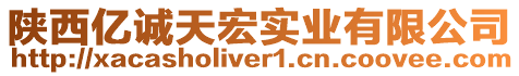 陜西億誠(chéng)天宏實(shí)業(yè)有限公司