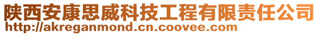 陜西安康思威科技工程有限責(zé)任公司