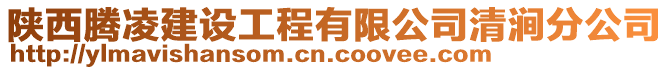 陜西騰凌建設工程有限公司清澗分公司