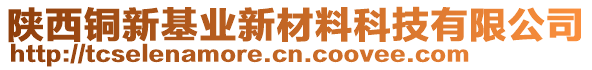 陕西铜新基业新材料科技有限公司