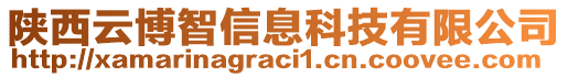 陜西云博智信息科技有限公司