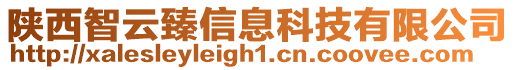 陜西智云臻信息科技有限公司