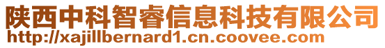 陕西中科智睿信息科技有限公司