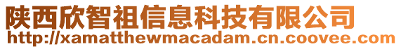 陜西欣智祖信息科技有限公司