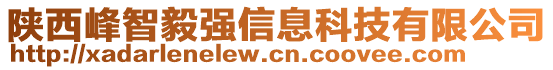 陕西峰智毅强信息科技有限公司