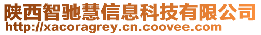 陜西智馳慧信息科技有限公司