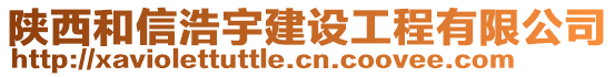 陜西和信浩宇建設(shè)工程有限公司