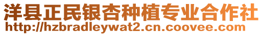 洋縣正民銀杏種植專業合作社