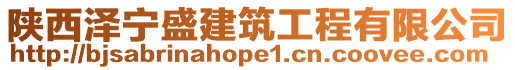 陜西澤寧盛建筑工程有限公司