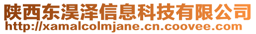 陜西東淏澤信息科技有限公司
