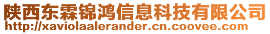 陜西東霖錦鴻信息科技有限公司