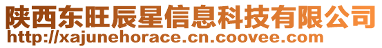 陜西東旺辰星信息科技有限公司