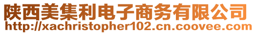 陜西美集利電子商務(wù)有限公司