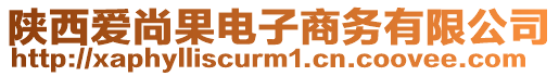 陜西愛尚果電子商務有限公司