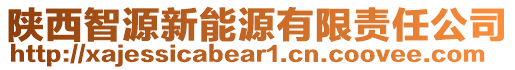 陜西智源新能源有限責任公司