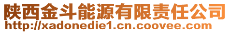 陜西金斗能源有限責(zé)任公司