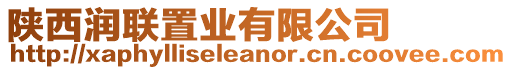 陜西潤聯(lián)置業(yè)有限公司