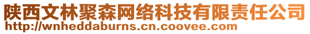 陜西文林聚森網(wǎng)絡(luò)科技有限責(zé)任公司