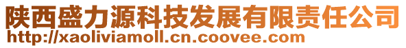 陜西盛力源科技發(fā)展有限責任公司