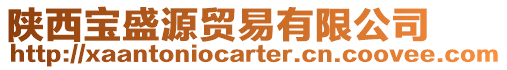陜西寶盛源貿易有限公司