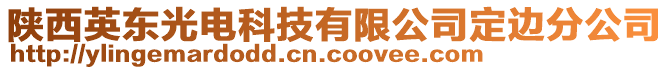 陜西英東光電科技有限公司定邊分公司