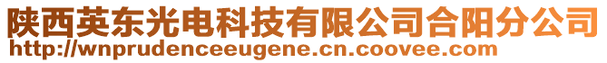 陜西英東光電科技有限公司合陽分公司