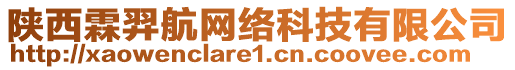 陜西霖羿航網(wǎng)絡(luò)科技有限公司