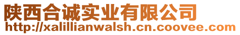 陜西合誠實(shí)業(yè)有限公司