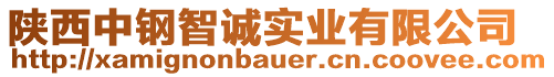 陜西中鋼智誠(chéng)實(shí)業(yè)有限公司