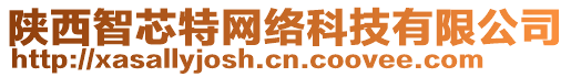 陜西智芯特網(wǎng)絡(luò)科技有限公司