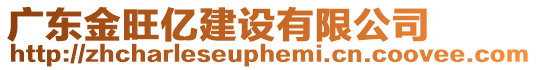 廣東金旺億建設(shè)有限公司