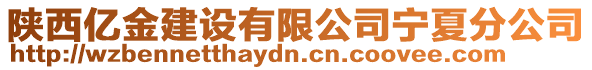 陜西億金建設(shè)有限公司寧夏分公司