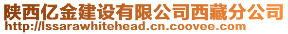 陜西億金建設(shè)有限公司西藏分公司