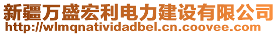 新疆萬盛宏利電力建設有限公司