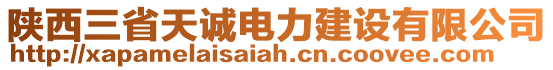 陜西三省天誠電力建設(shè)有限公司