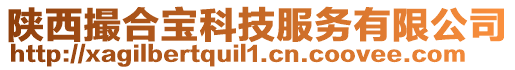 陜西撮合寶科技服務(wù)有限公司